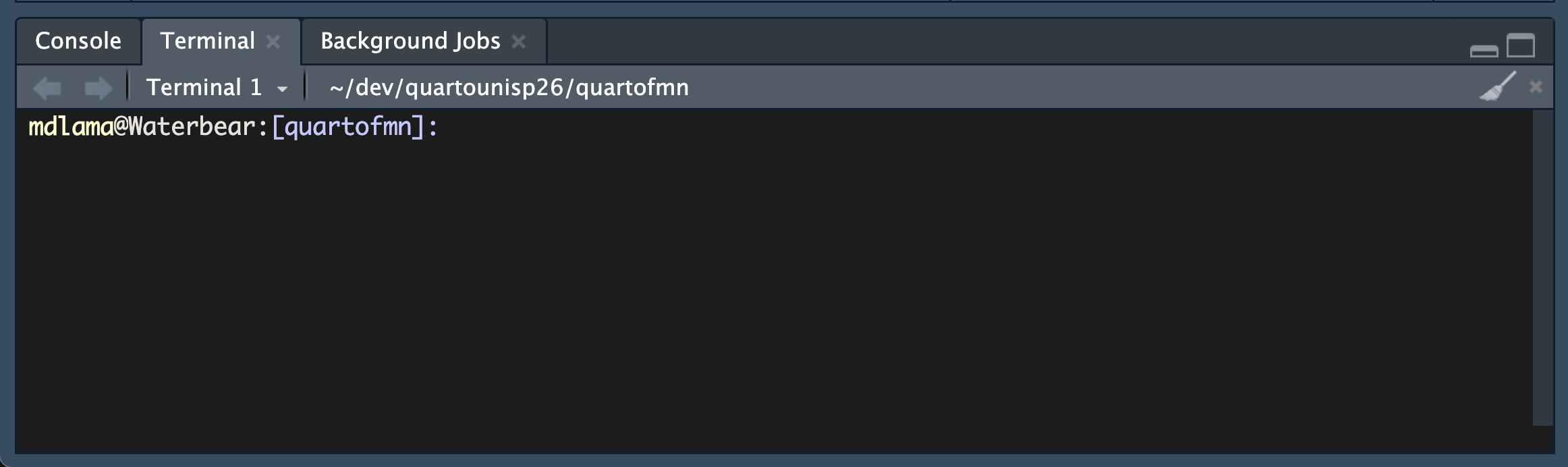The terminal is located in the tab to the right of the Console.